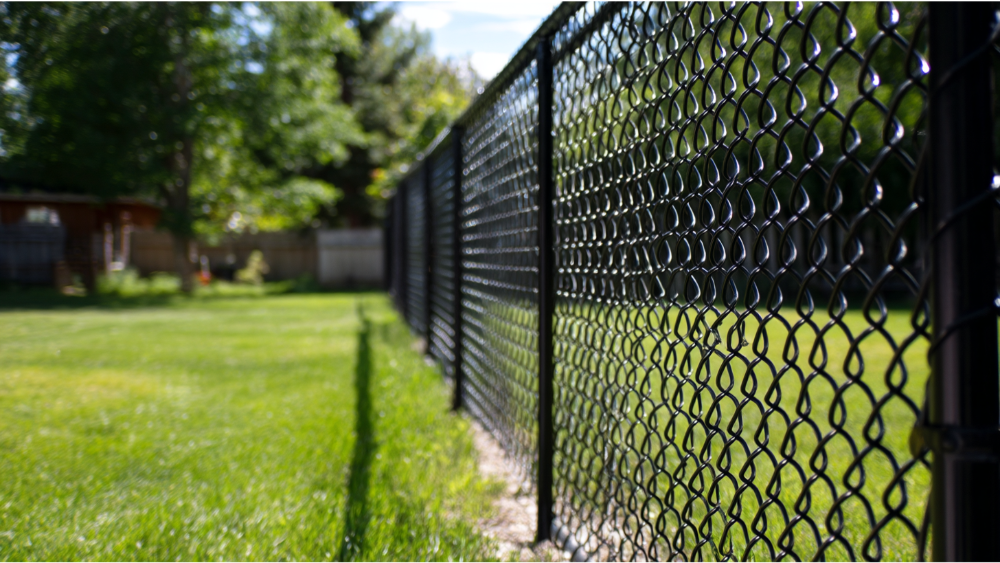 A black chain link fence separating a grassy backyard from surrounding areas.