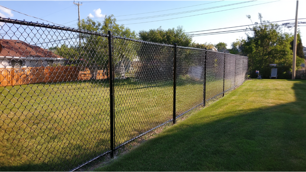Black chain link fence enclosing a residential backyard on a sunny day
