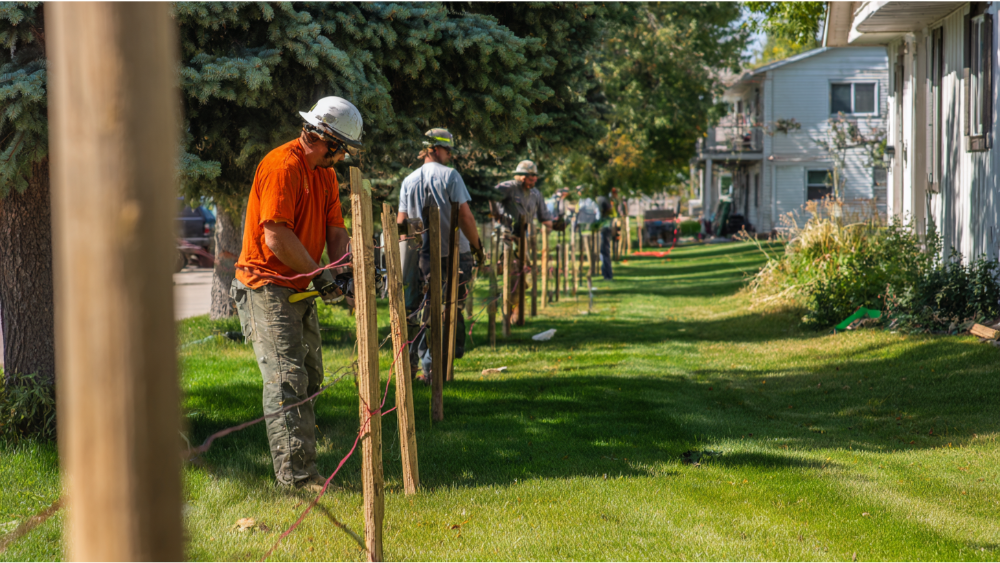 Step-by-Step Fence Layout Process Used by Professionals