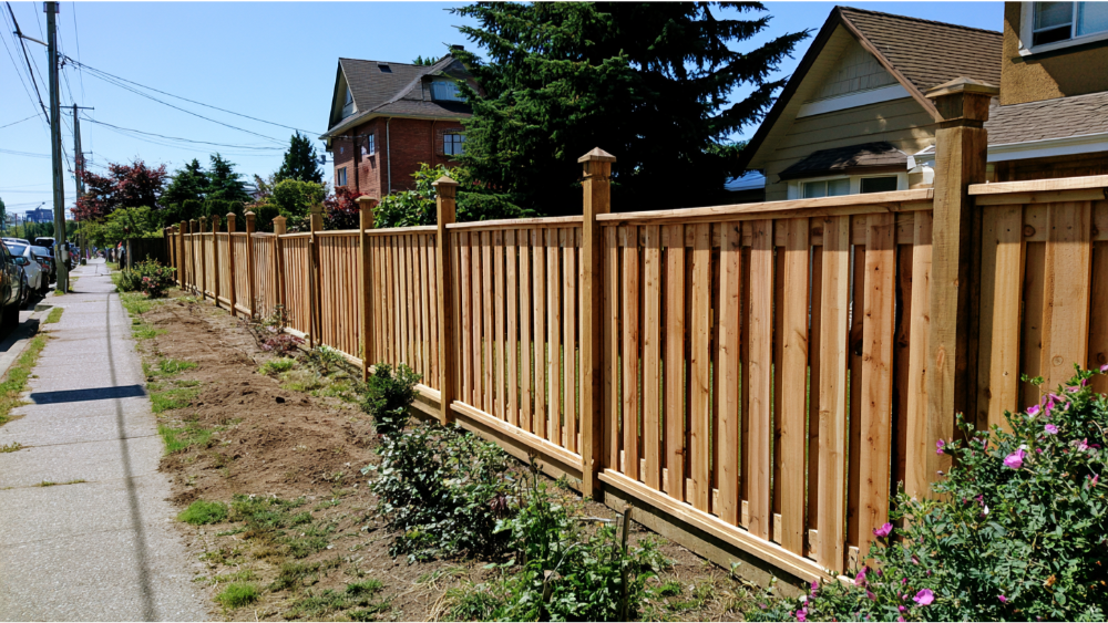 What to Expect From a Professional Fence Installation Company