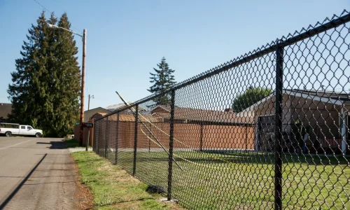 chain-link-img